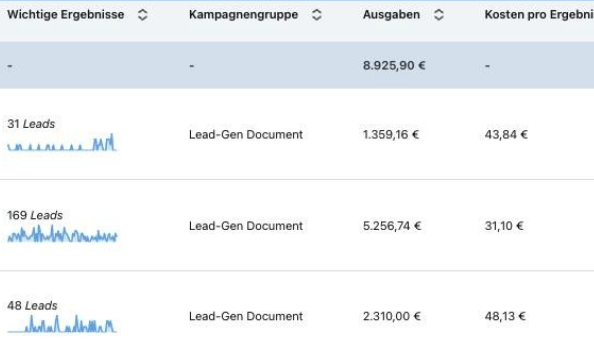 Lead-Gen-Document Ergebnis, 31 Leads zu 43,84 Euro